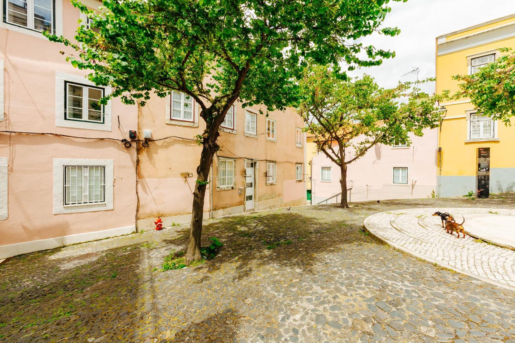 Rent4Rest Lisbon Downtown Tiny Studio Apartments Εξωτερικό φωτογραφία